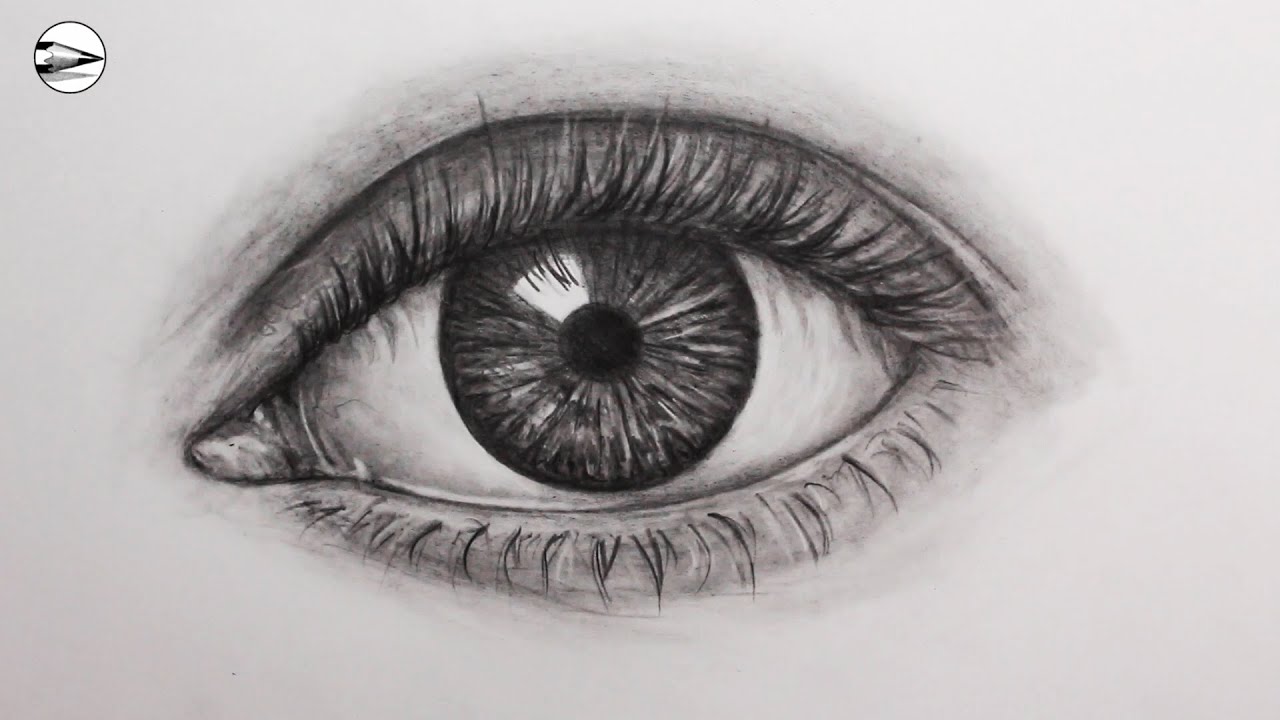 Eye Sketch. | Drew this today. Just with a 2B pencil and bla… | Flickr